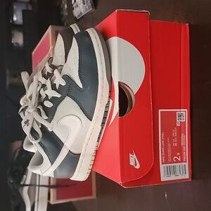 Boys nike dunk size 2